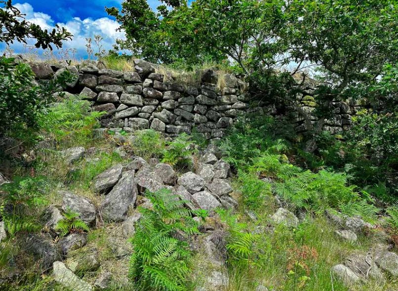 Castro lupario, Spain